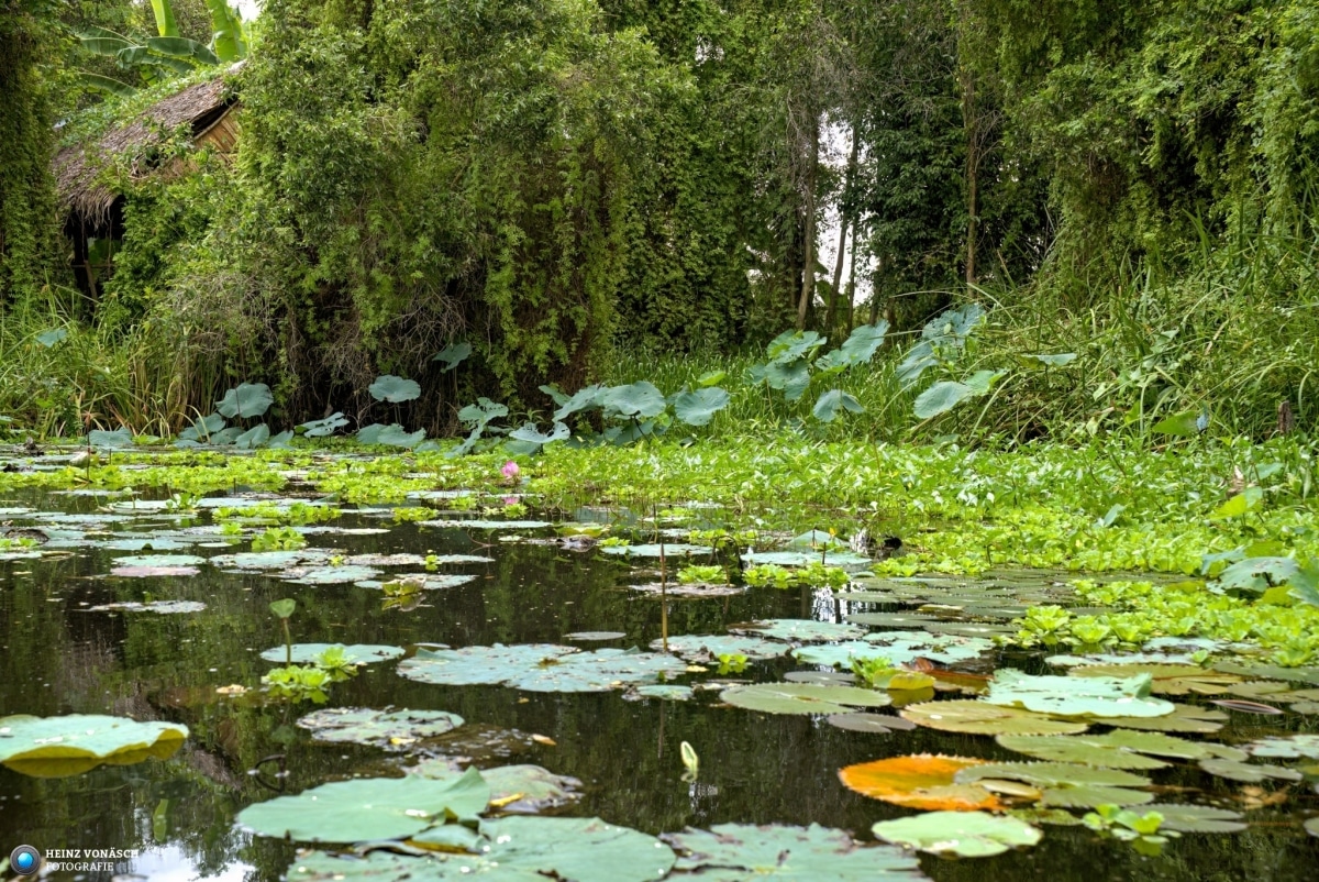 Saigon_202405_0084