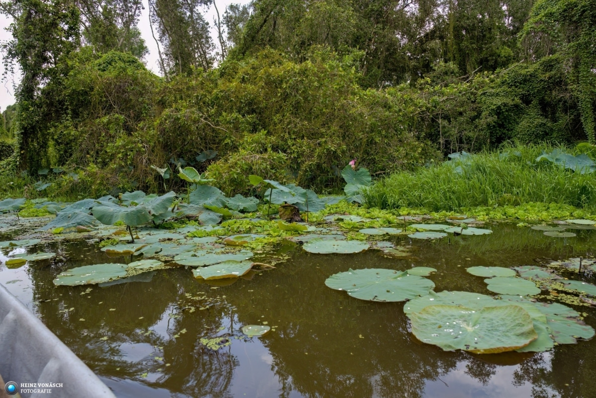 Saigon_202405_0089