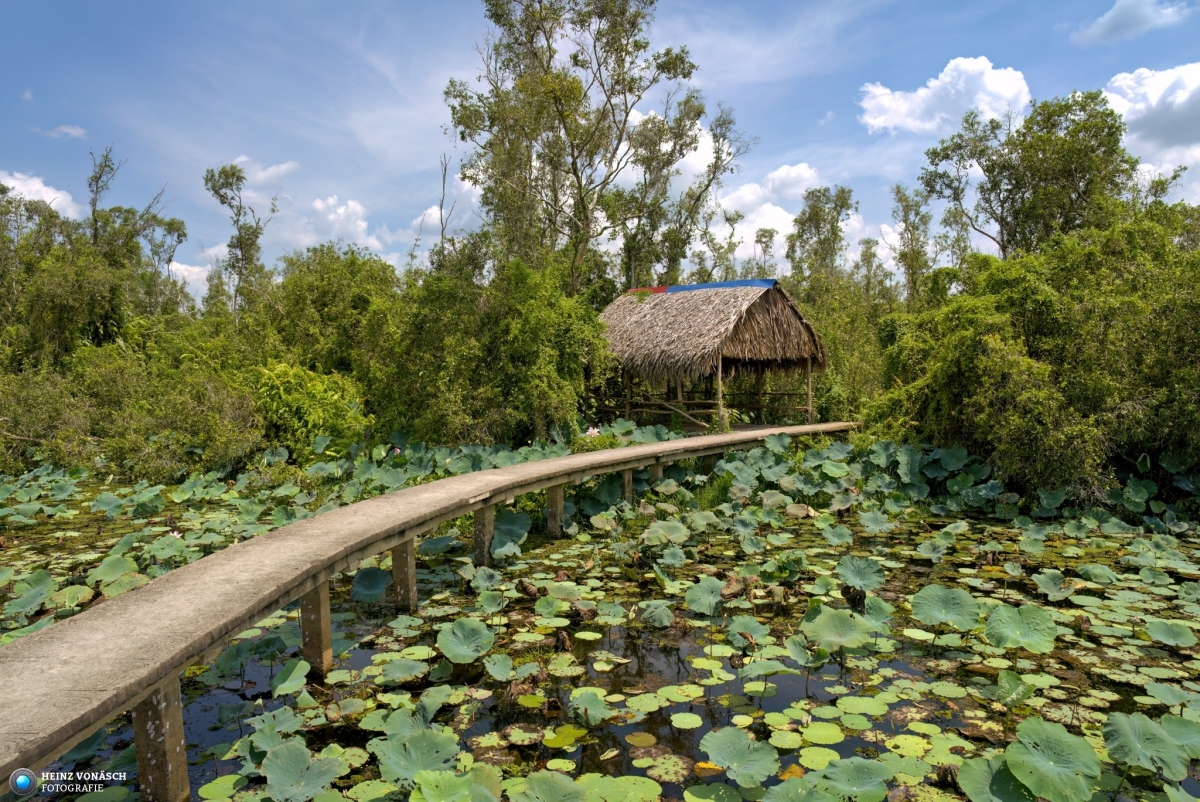 Saigon_202405_0113