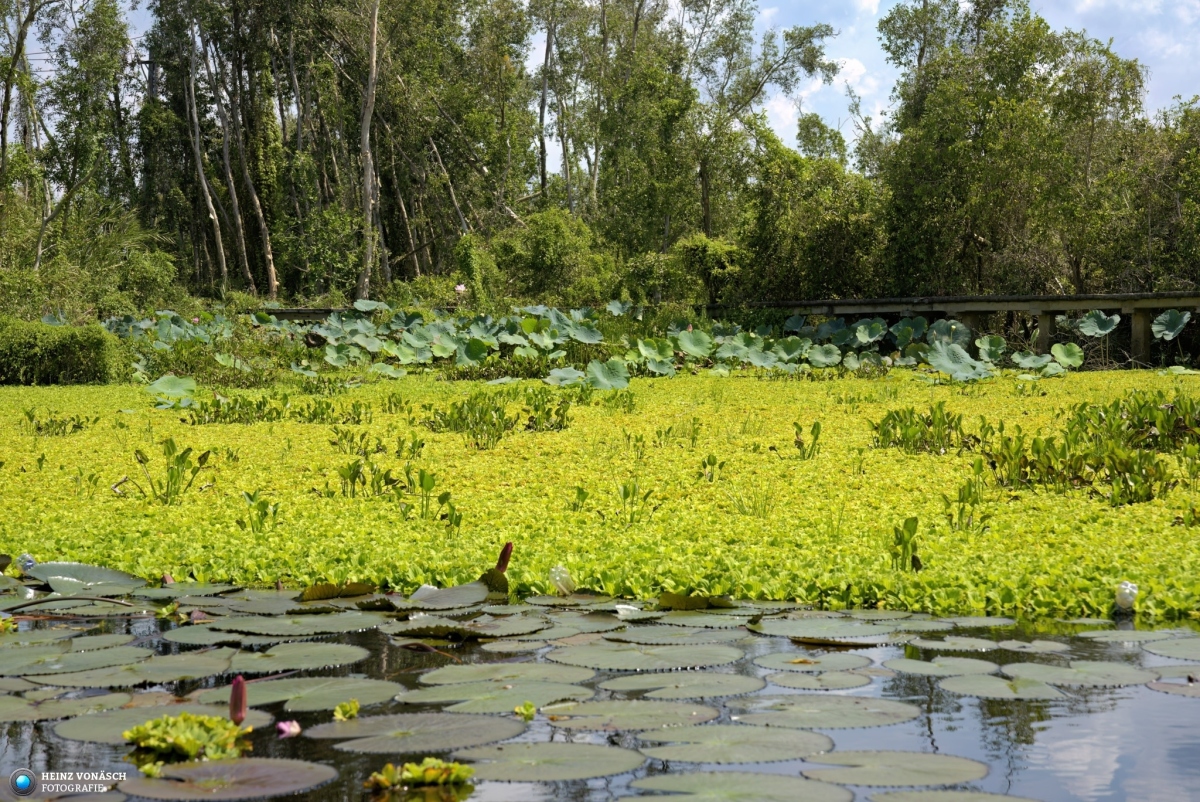 Saigon_202405_0130