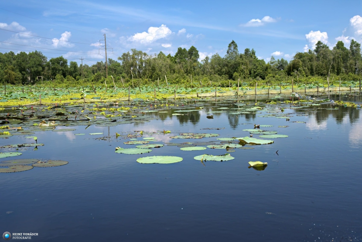 Saigon_202405_0133